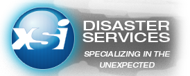 xsi-disaster-service